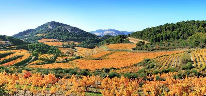 Automne en Provence