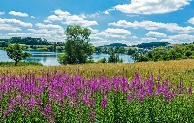 belles-routes-allemagne