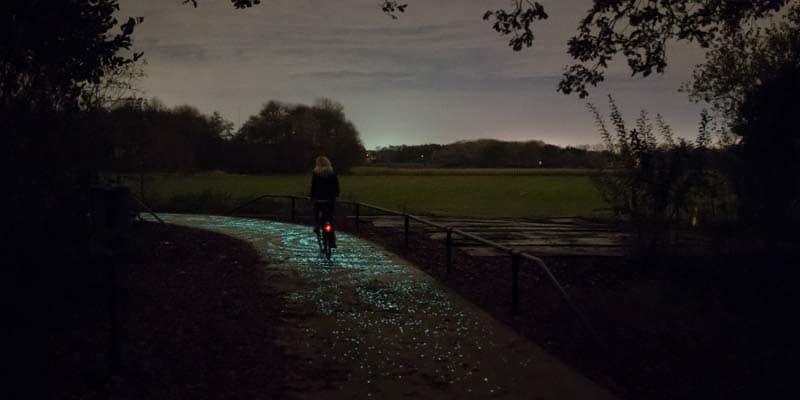 vangoghroosegaarde11