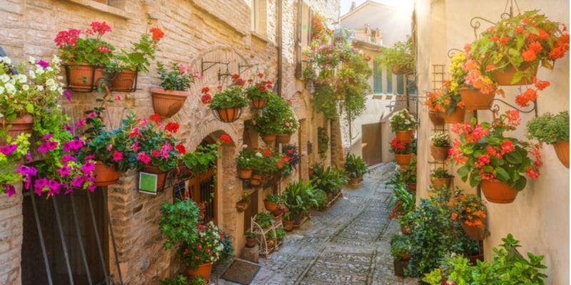 spello-fiori