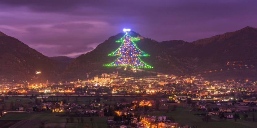 Árvore de Gubbio